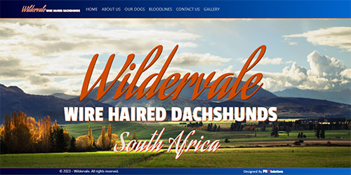 Wildervale Screenshot 1