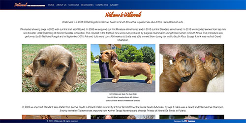 Wildervale Screenshot 3